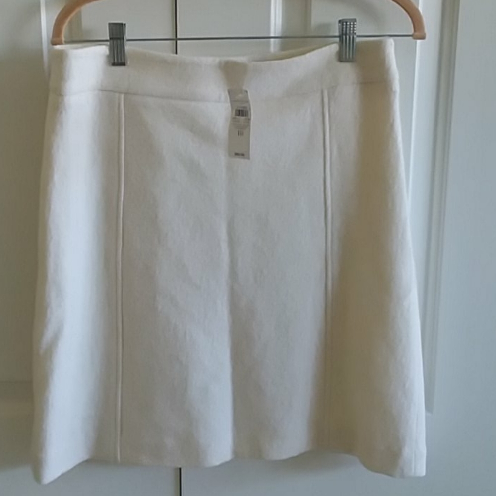 Ann Taylor skirt